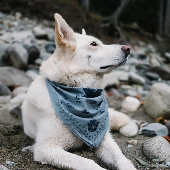 "Only You" Smokey Bear Bandana The Landmark Project